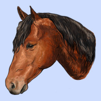 Horse Urban Heavy Tee | Teevron