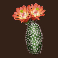 King Cup Cactus Heavy Core Tee | Teevron
