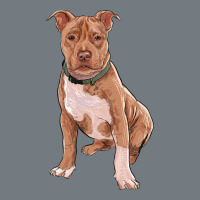 Brown Pitbull Heavyweight Sweatshirt | Teevron