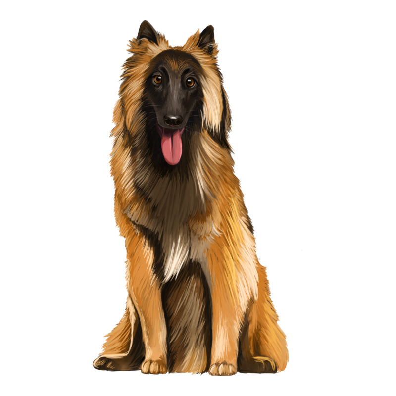 Belgian Shepherd Tervuren Zipper Hoodie by Artiststas | Teevron