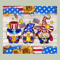 American Gnomes Ladies Tee | Teevron