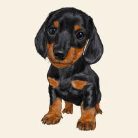 Dachshund Puppy Vintage Tee | Teevron