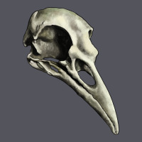 Raven Skull Vintage Hoodie | Teevron