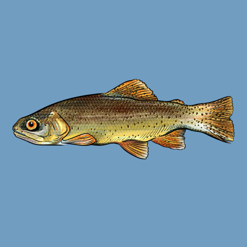 Arizona Apache Trout Fish Urban Heavy Tee by BarkalooDesign | Teevron