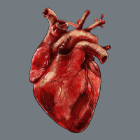 Anatomical Heart Heavyweight Sweatshirt | Teevron