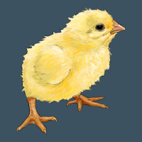 Chick Urban Heavy Tee | Teevron