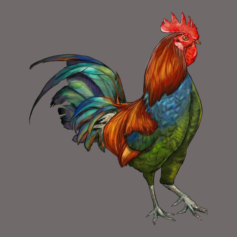 Rooster Urban Heavy Tee by RanaPortraitStore | Teevron