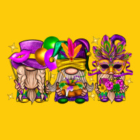 Mardi Gras Gnomies Cakes Flowers And Balloon Premium Hoodie | Teevron