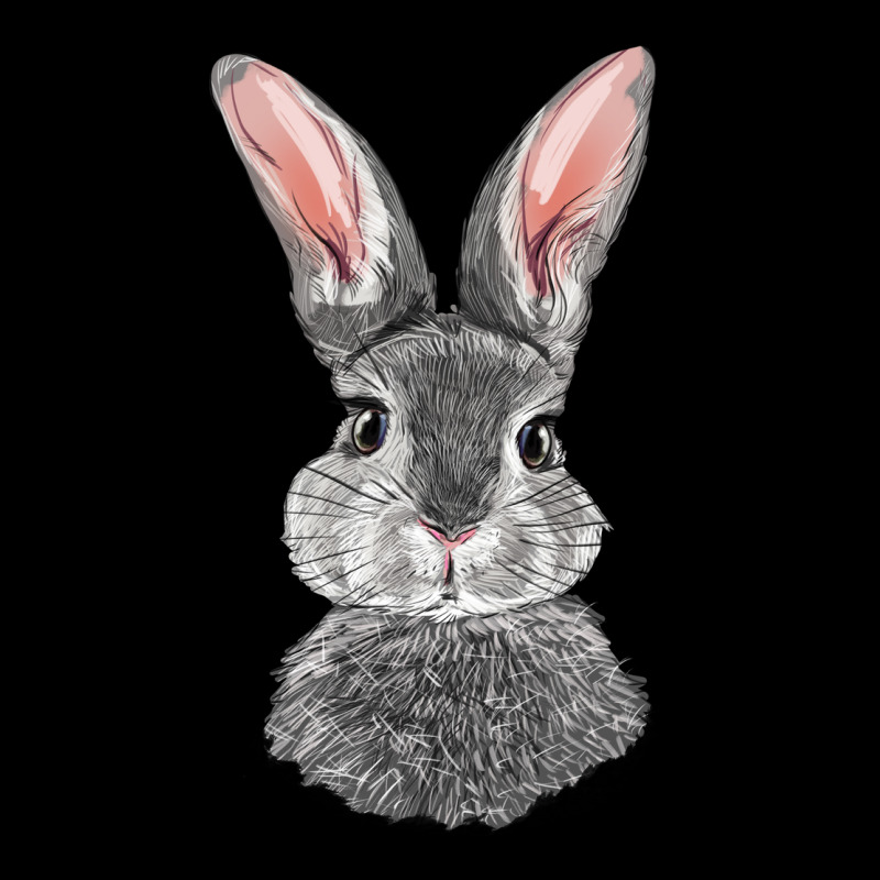 Bunny Face Heavyweight Sweatshirt by RanaPortraitStore | Teevron
