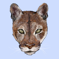 Florida Panther  Face Urban Heavy Tee | Teevron