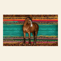 Western Horse Serape Tooled Leather Leopard  Sippy Cup Vintage Tee | Teevron
