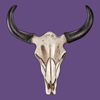 Western Bull Skull Tbw Vintage Hoodie | Teevron