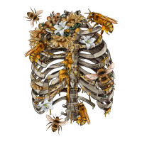 Flower rib cage bees | Teevron
