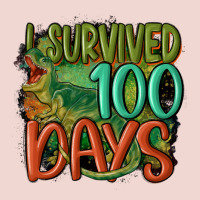 I Survived 100 Days Premium Sweatshirt | Teevron
