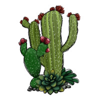 cactus | Teevron
