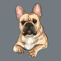 French Bulldog Sitting Heavyweight Sweatshirt | Teevron