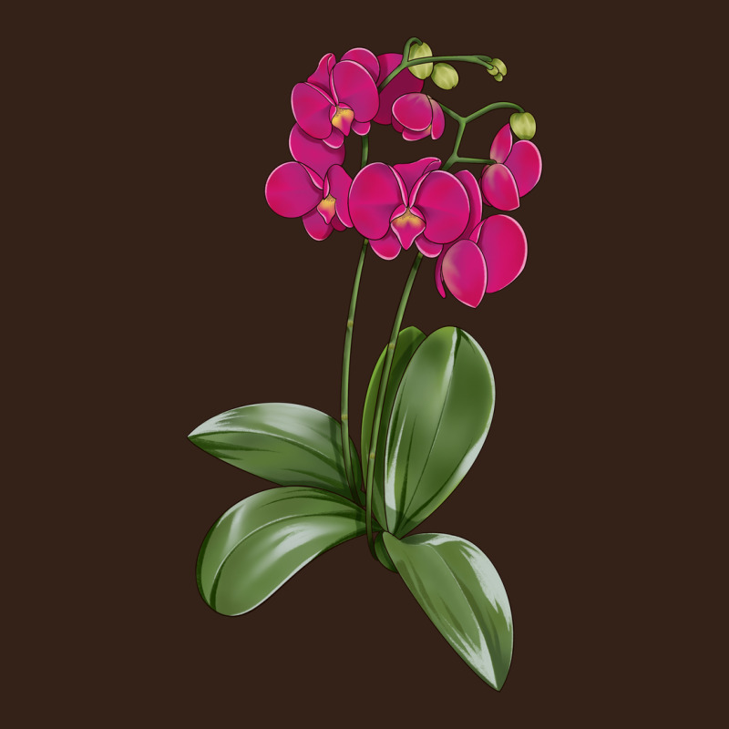 Moth Orchid Heavy Core Tee by LillyAllenDesigns | Teevron