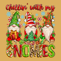 Chillin With My Gnomies Premium Hoodie | Teevron