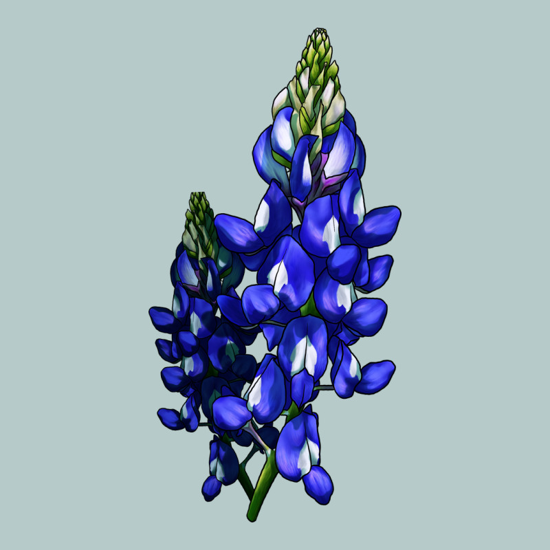 Bluebonnet Flower Illustrations Heavy Core Tee by LillyAllenDesigns | Teevron
