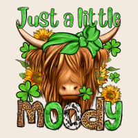 Just A Little Moody St Patricks Day Zipper Hoodie | Teevron