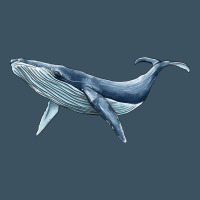 Humpback Whale Urban Heavy Tee | Teevron