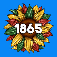 Juneteenth 1865 Sunflower Zipper Hoodie | Teevron