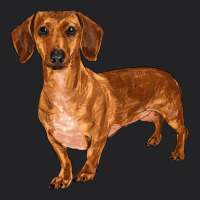Dachshund Vintage Tee | Teevron