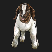 Baby Boer Goat Heavyweight Hoodie | Teevron