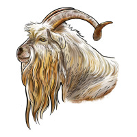 kiko goat face | Teevron