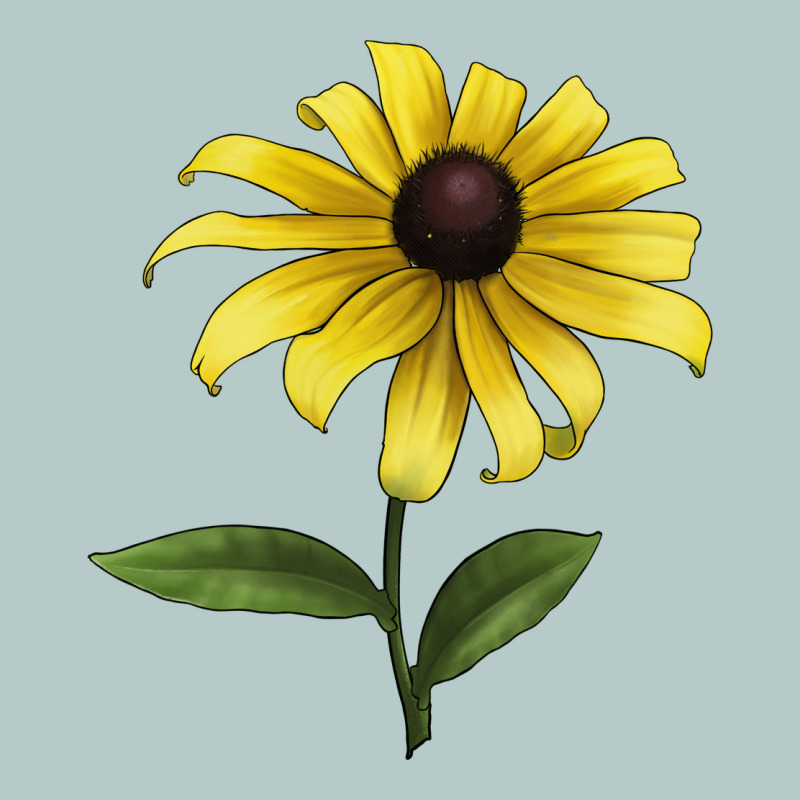 Black Eyed Susan Flower Illustrations Heavy Core Tee by LillyAllenDesigns | Teevron
