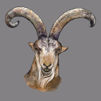 Spanish Goat Face Heavyweight Hoodie | Teevron