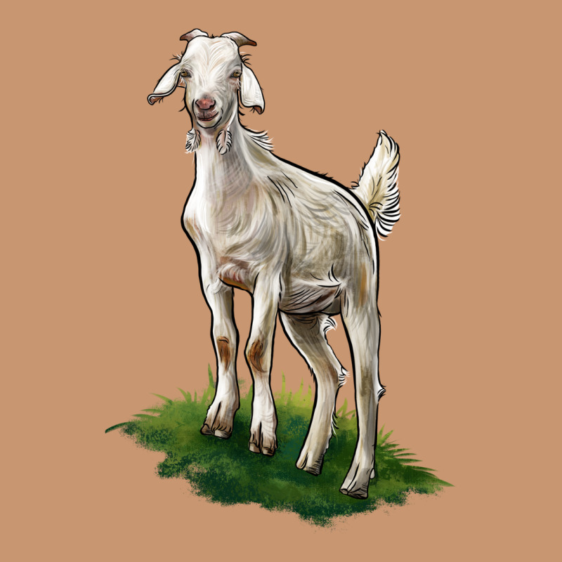 Kiko Goat Heavyweight Hoodie by LillyAllenDesigns | Teevron