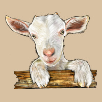 Baby Cashmere Goat Heavyweight Hoodie | Teevron