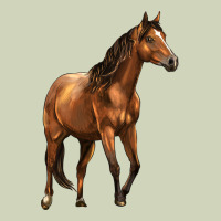 Quarter Horse Heavyweight Hoodie | Teevron