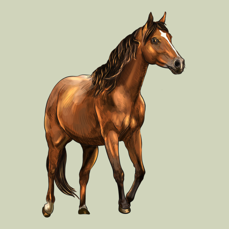 Quarter Horse Heavyweight Hoodie by LillyAllenDesigns | Teevron