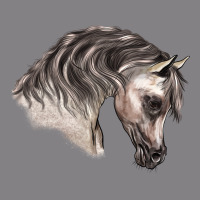 Arabian Horse Heavyweight Hoodie | Teevron