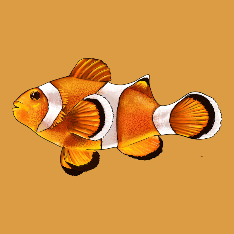 Clown Fish Side Urban Heavy Tee by BarkalooDesign | Teevron