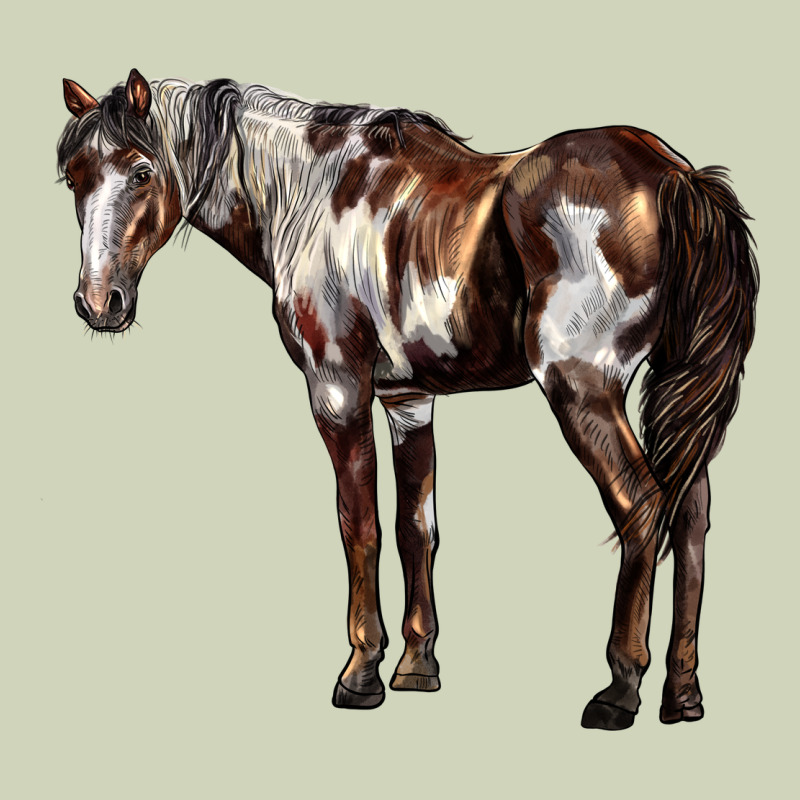 Mustang Horse Heavyweight Hoodie by LillyAllenDesigns | Teevron