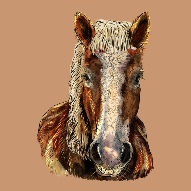 Belgian Horse Heavyweight Hoodie by LillyAllenDesigns | Teevron