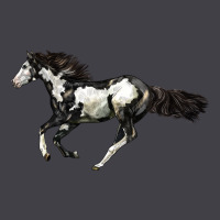 American Paint Horse Heavyweight Hoodie | Teevron