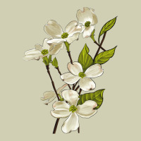American Dogwood Flower Illustrations Heavy Core Tee | Teevron