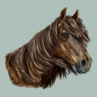 Missouri Horse Heavyweight Hoodie | Teevron