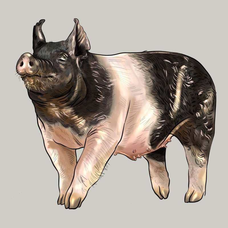 Hampshire Pig Heavyweight Hoodie by LillyAllenDesigns | Teevron