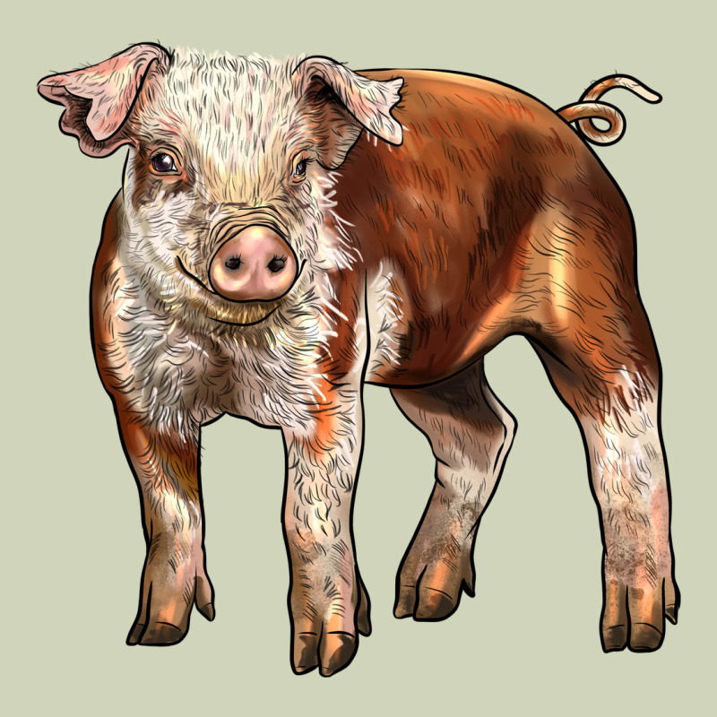 Baby Hereford Pig Heavyweight Hoodie by LillyAllenDesigns | Teevron