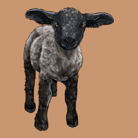 Suffolk Baby Sheep Heavyweight Hoodie | Teevron