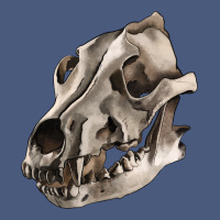 Wolf Skull Vintage Hoodie | Teevron