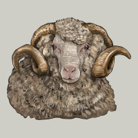 Merino Wool Sheep Head Heavyweight Hoodie | Teevron