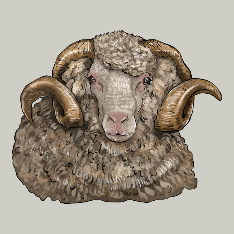 Merino Wool Sheep Head Heavyweight Hoodie by LillyAllenDesigns | Teevron