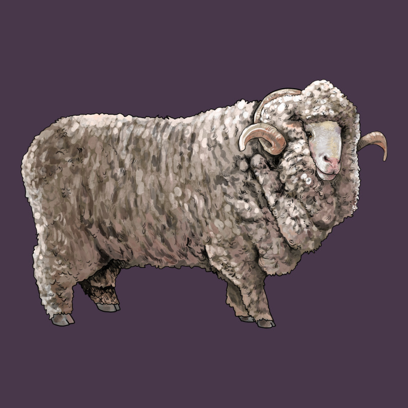 Rambouillet Sheep Heavyweight Hoodie by LillyAllenDesigns | Teevron