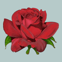 Oklahoma Rose Illustrations Heavy Core Tee | Teevron
